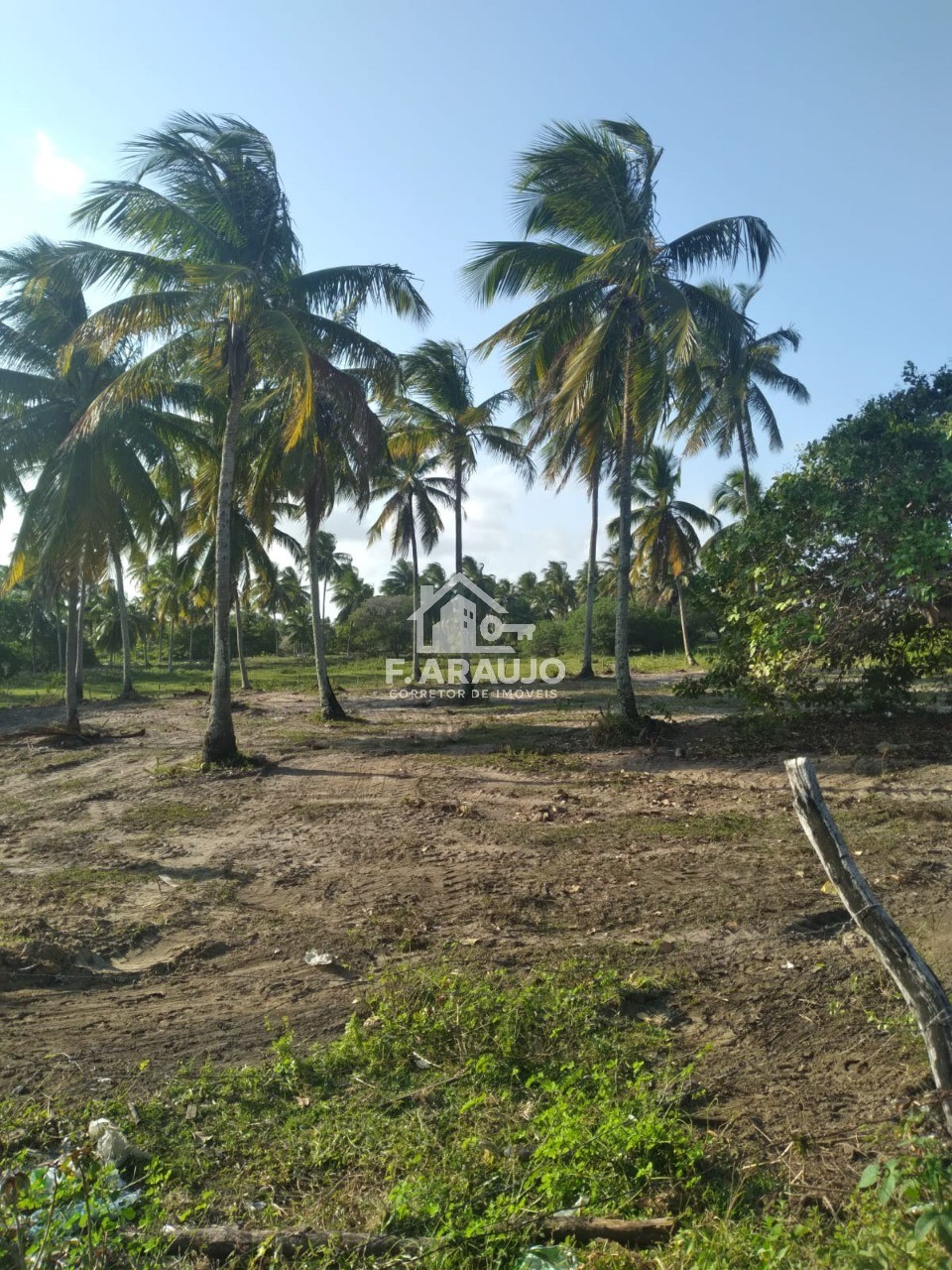 Terreno, 7000 m² - Foto 9