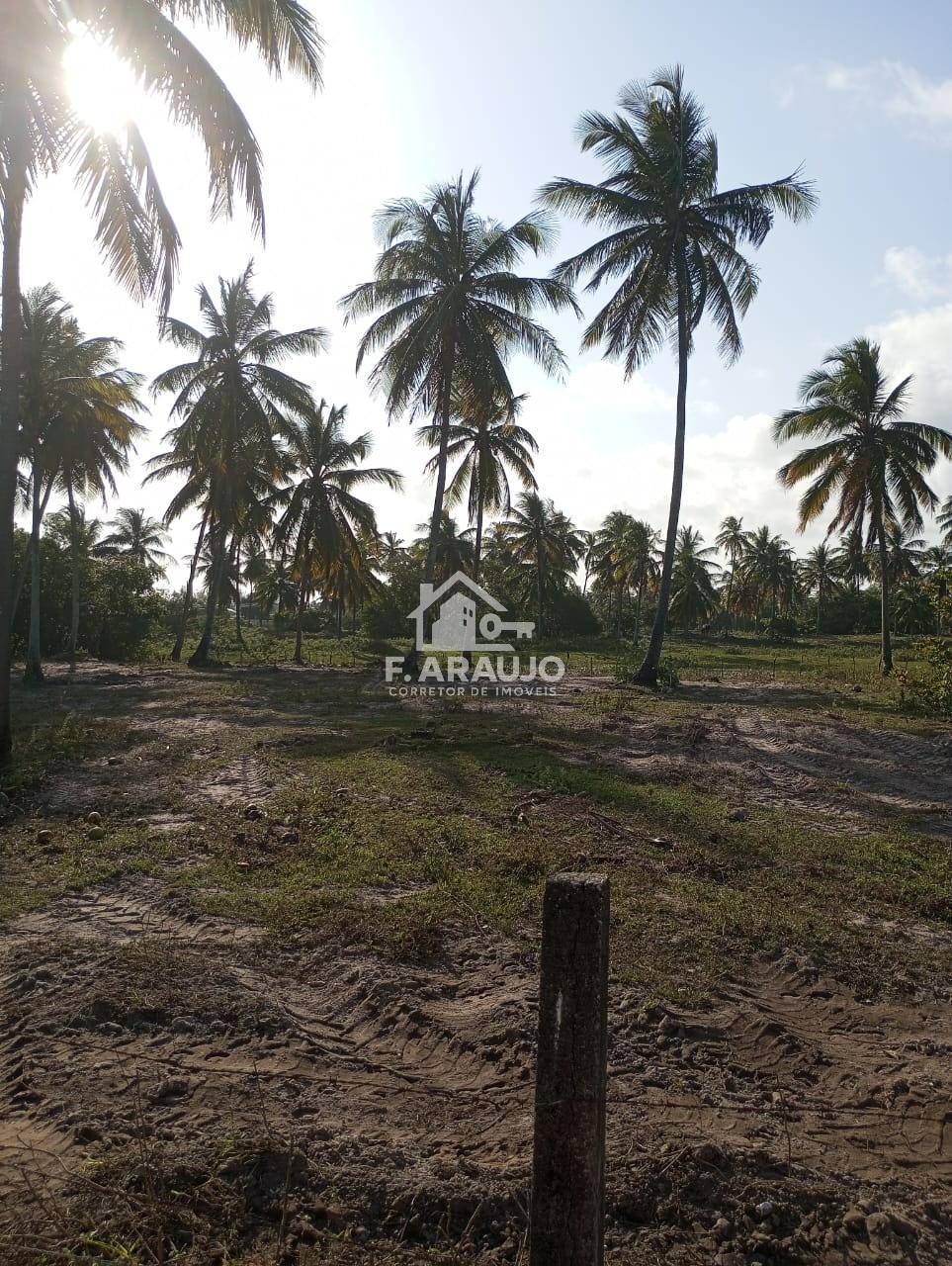 Terreno, 7000 m² - Foto 20