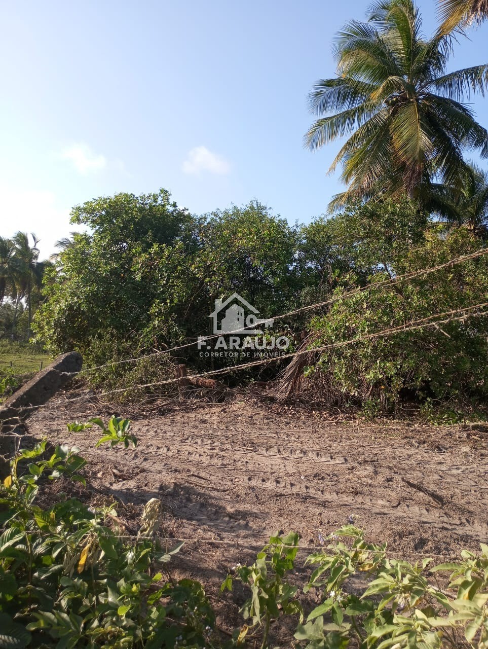 Terreno, 7000 m² - Foto 27