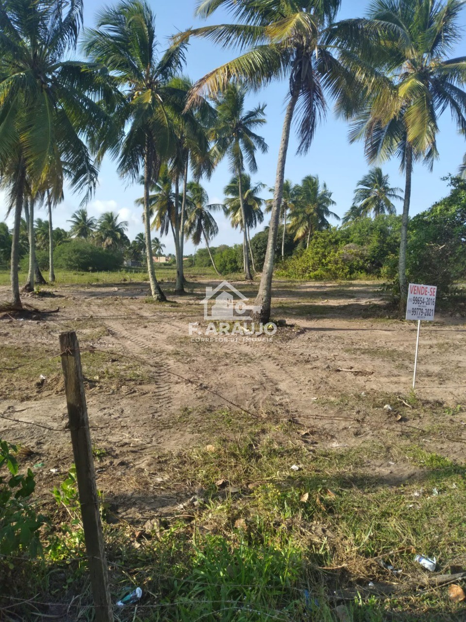 Terreno, 7000 m² - Foto 7