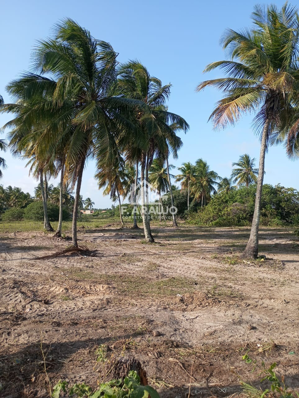 Terreno, 7000 m² - Foto 28