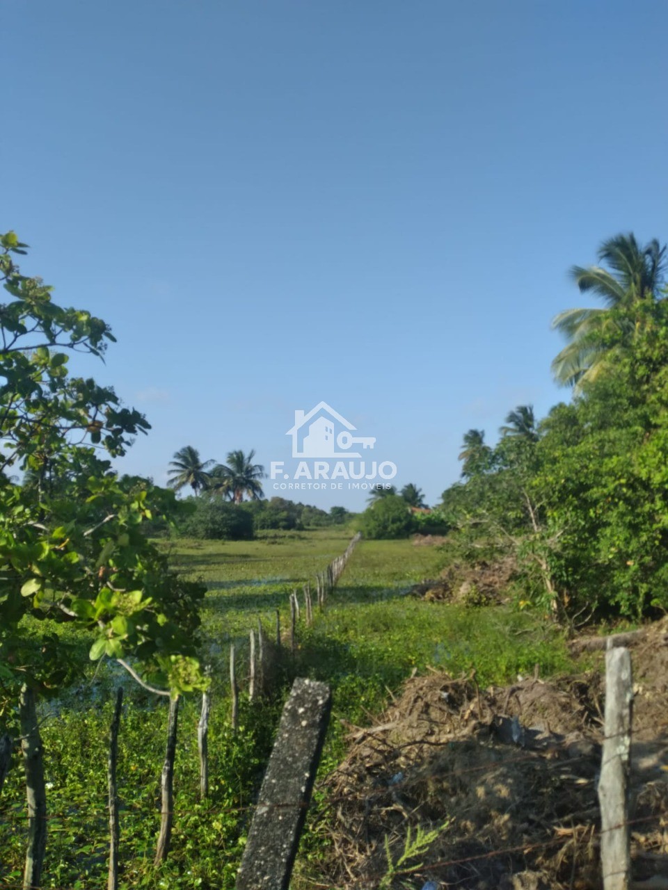 Terreno, 7000 m² - Foto 10