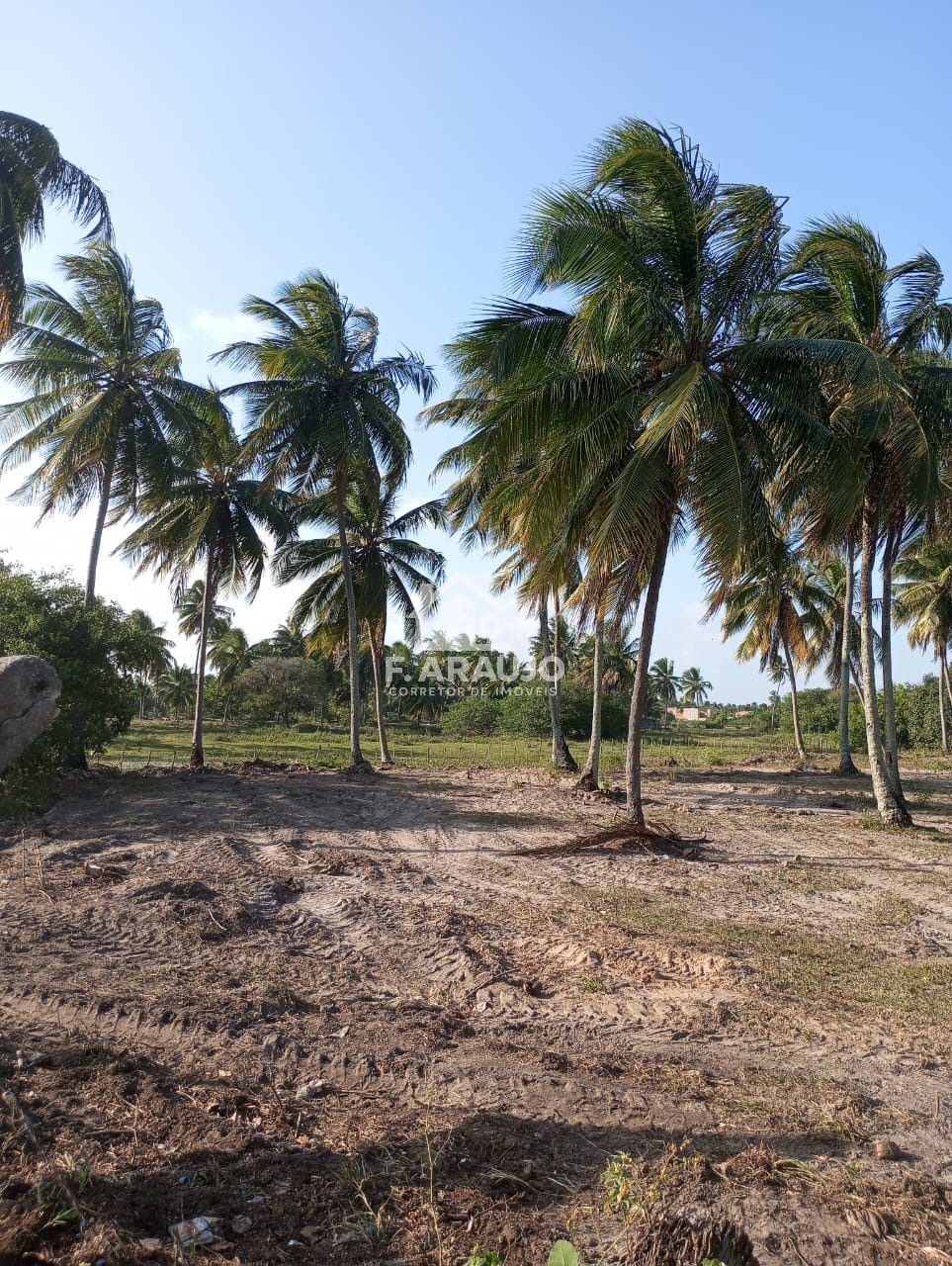 Terreno, 7000 m² - Foto 23