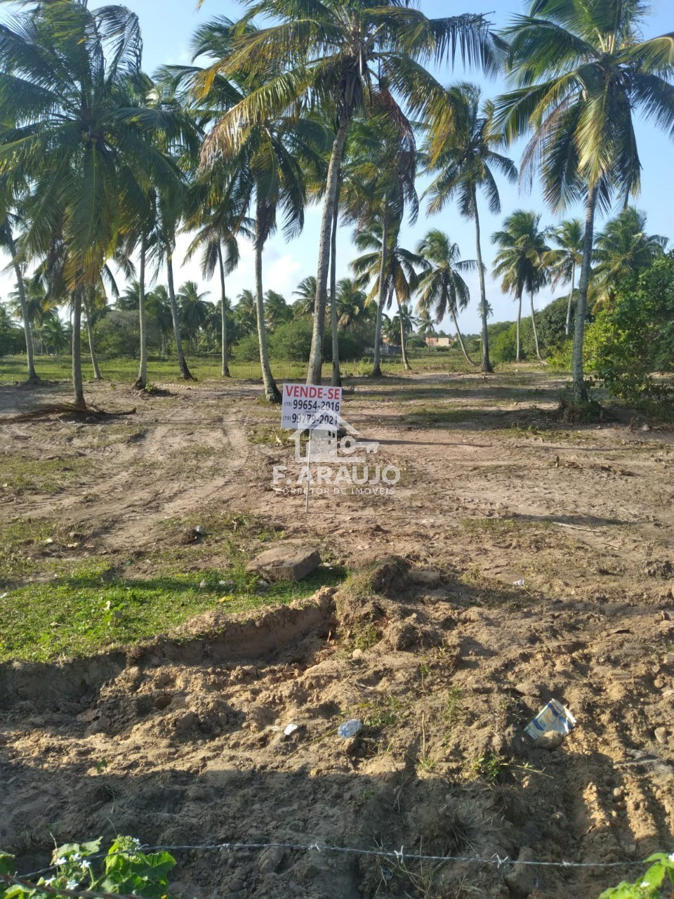 Terreno, 7000 m² - Foto 22