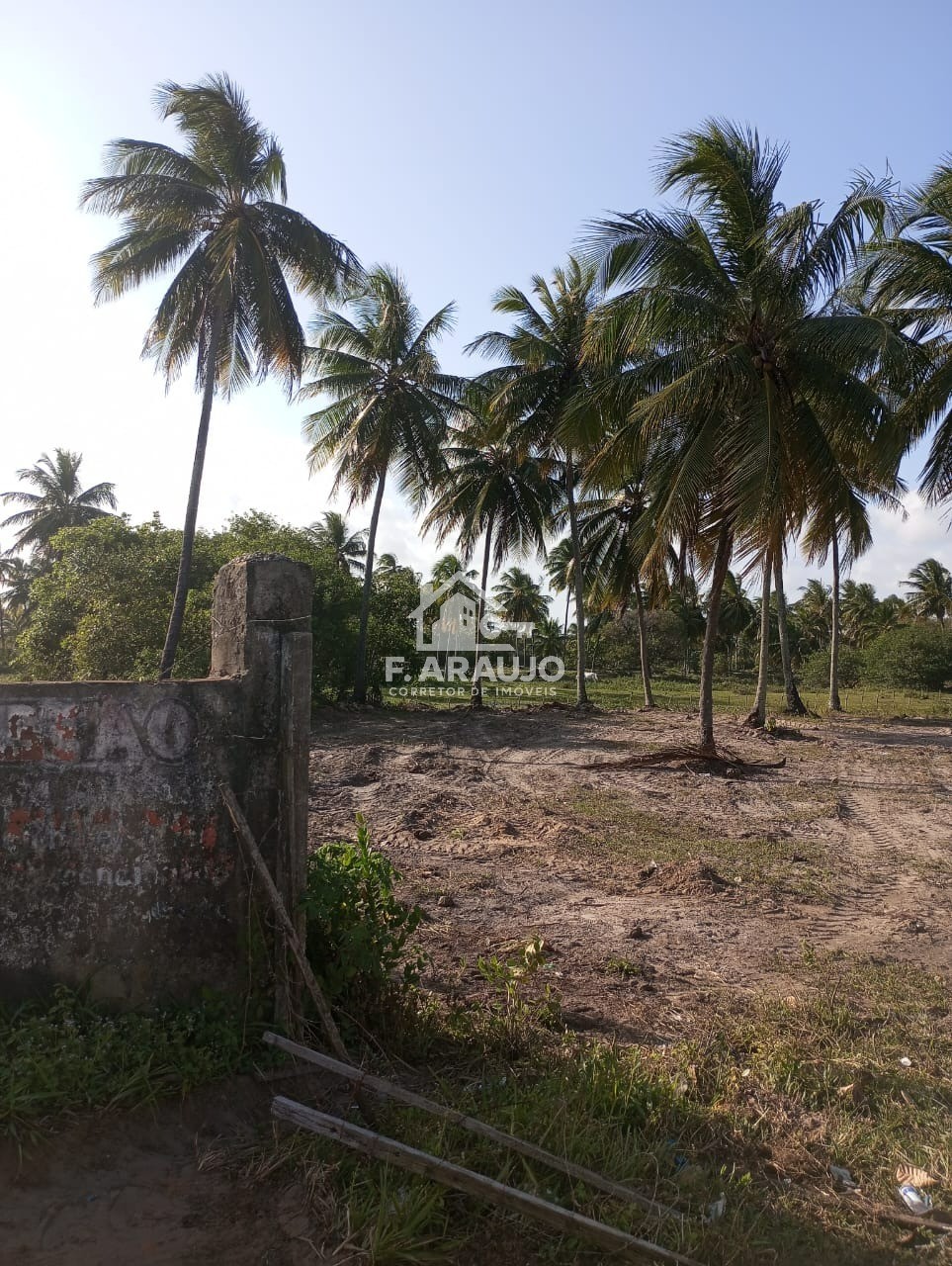 Terreno, 7000 m² - Foto 24