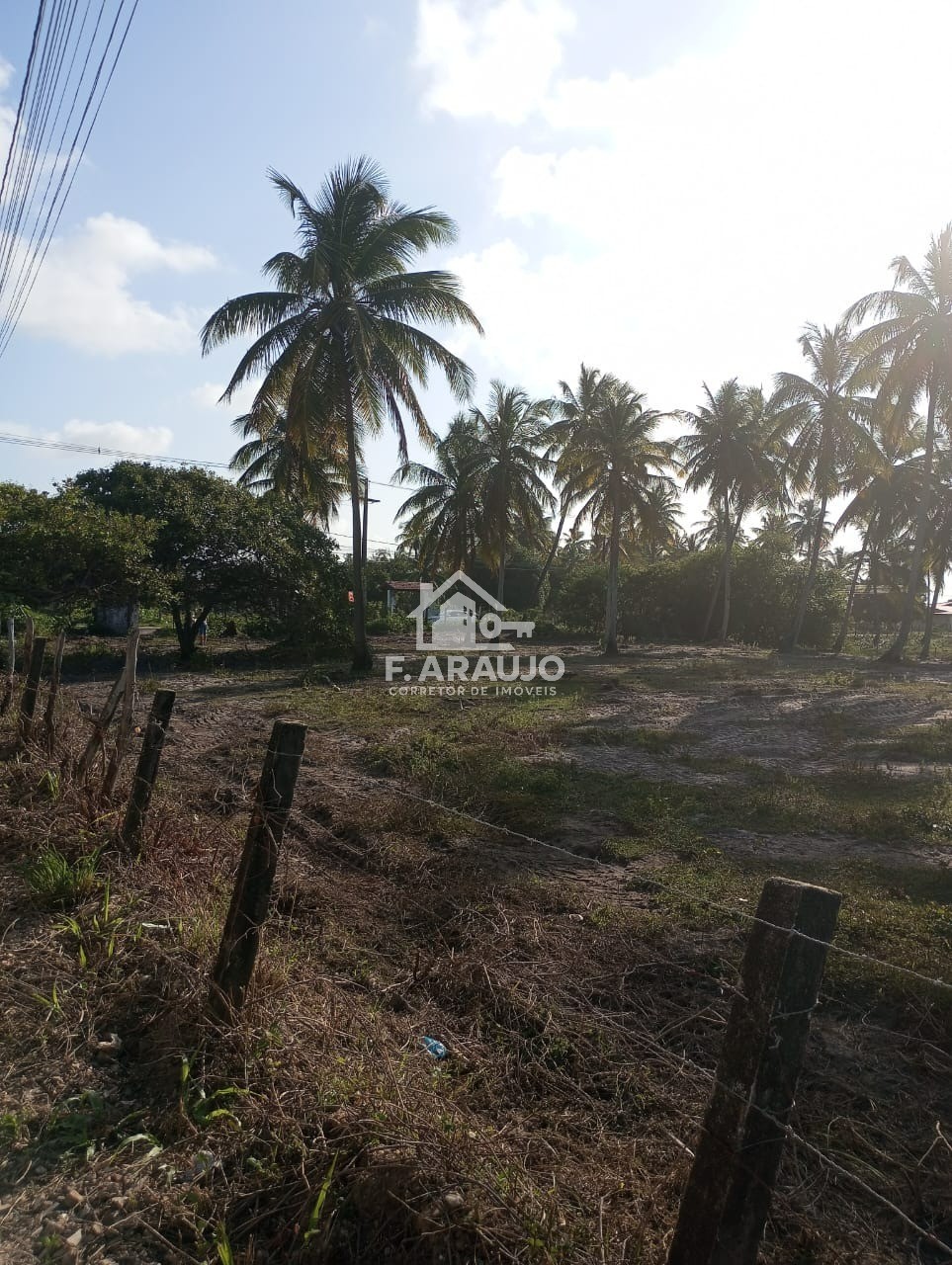 Terreno, 7000 m² - Foto 25