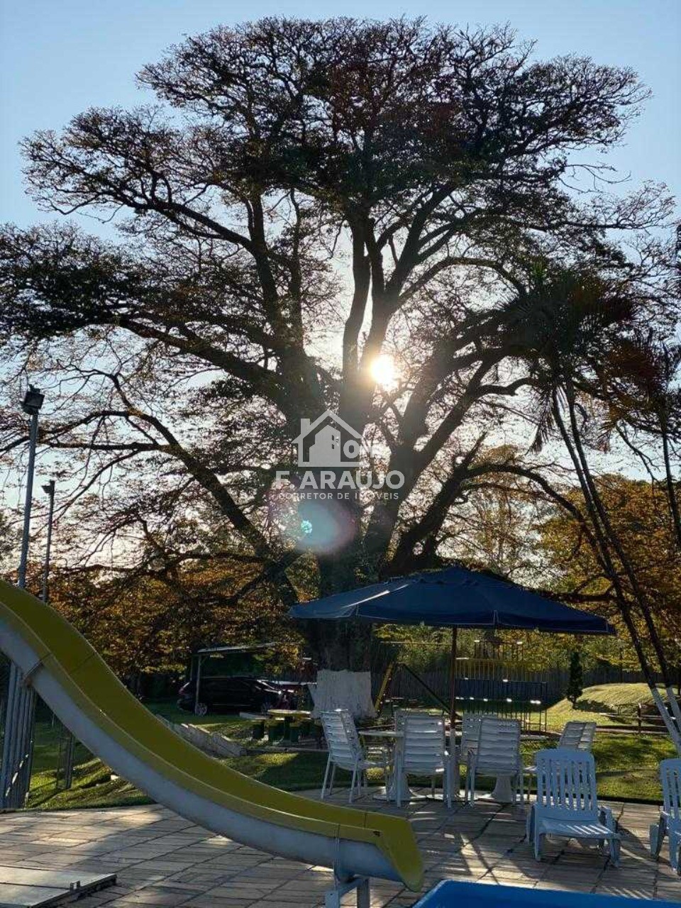 Chácara, 9 quartos, 2 hectares - Foto 24