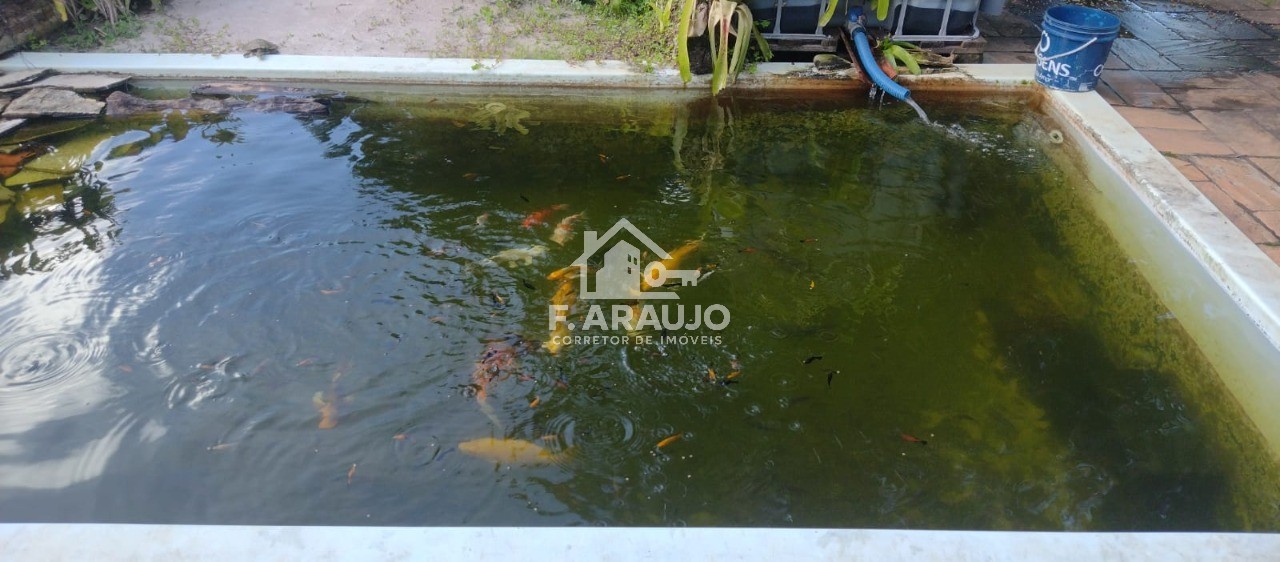 Chácara, 3 quartos, 2800 m² - Foto 11