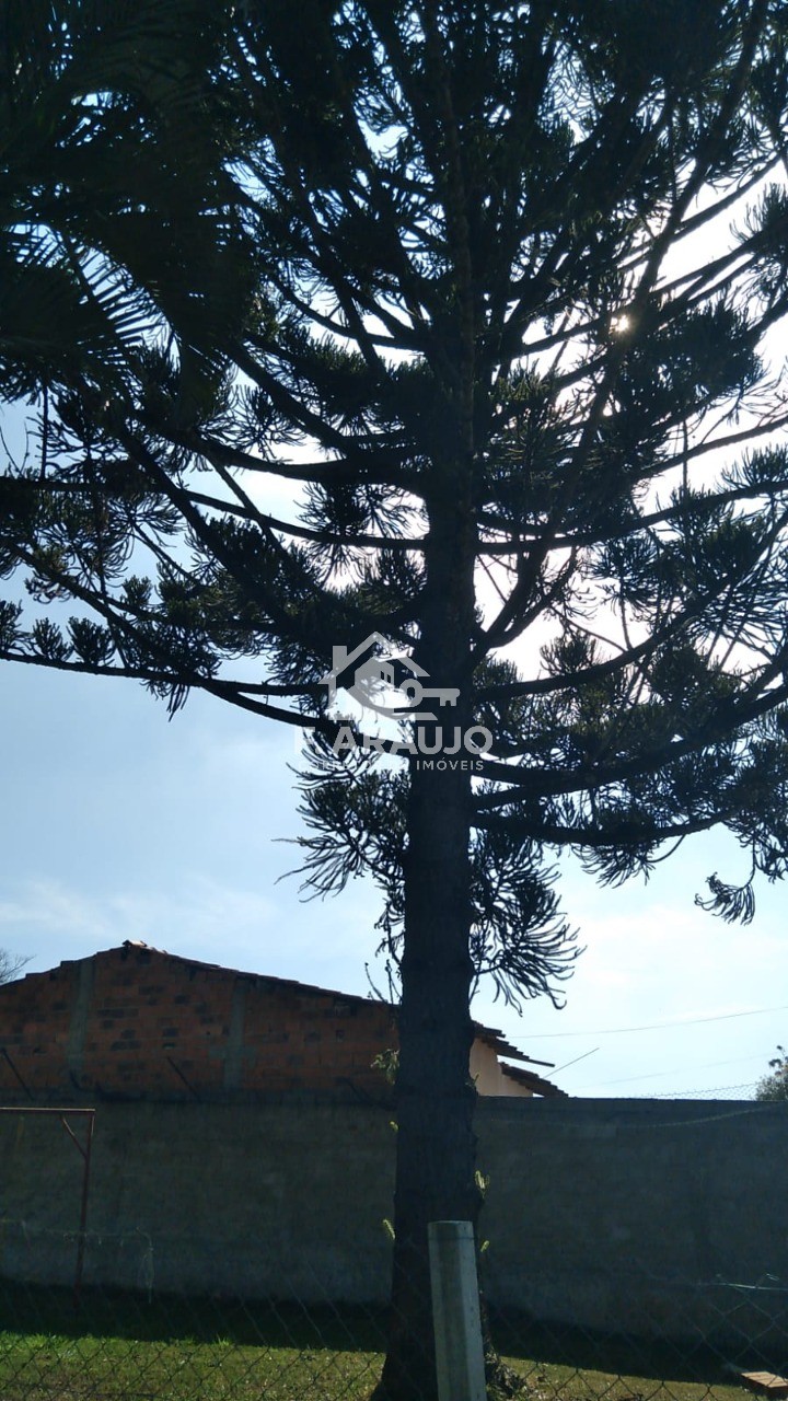 Chácara, 3 quartos, 2280 m² - Foto 22