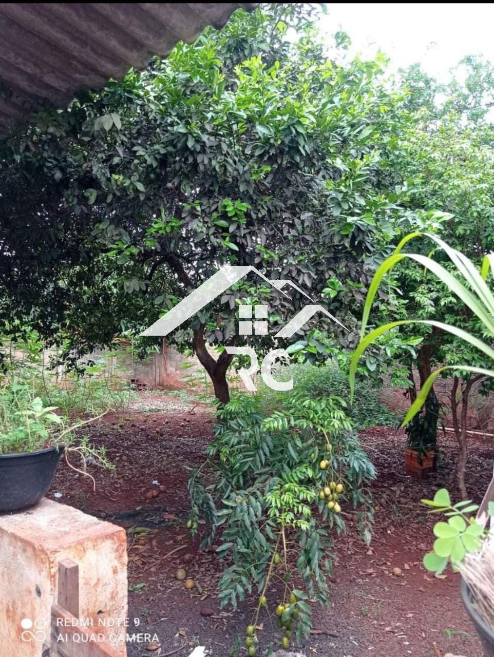 Casa, 3 quartos - Foto 11