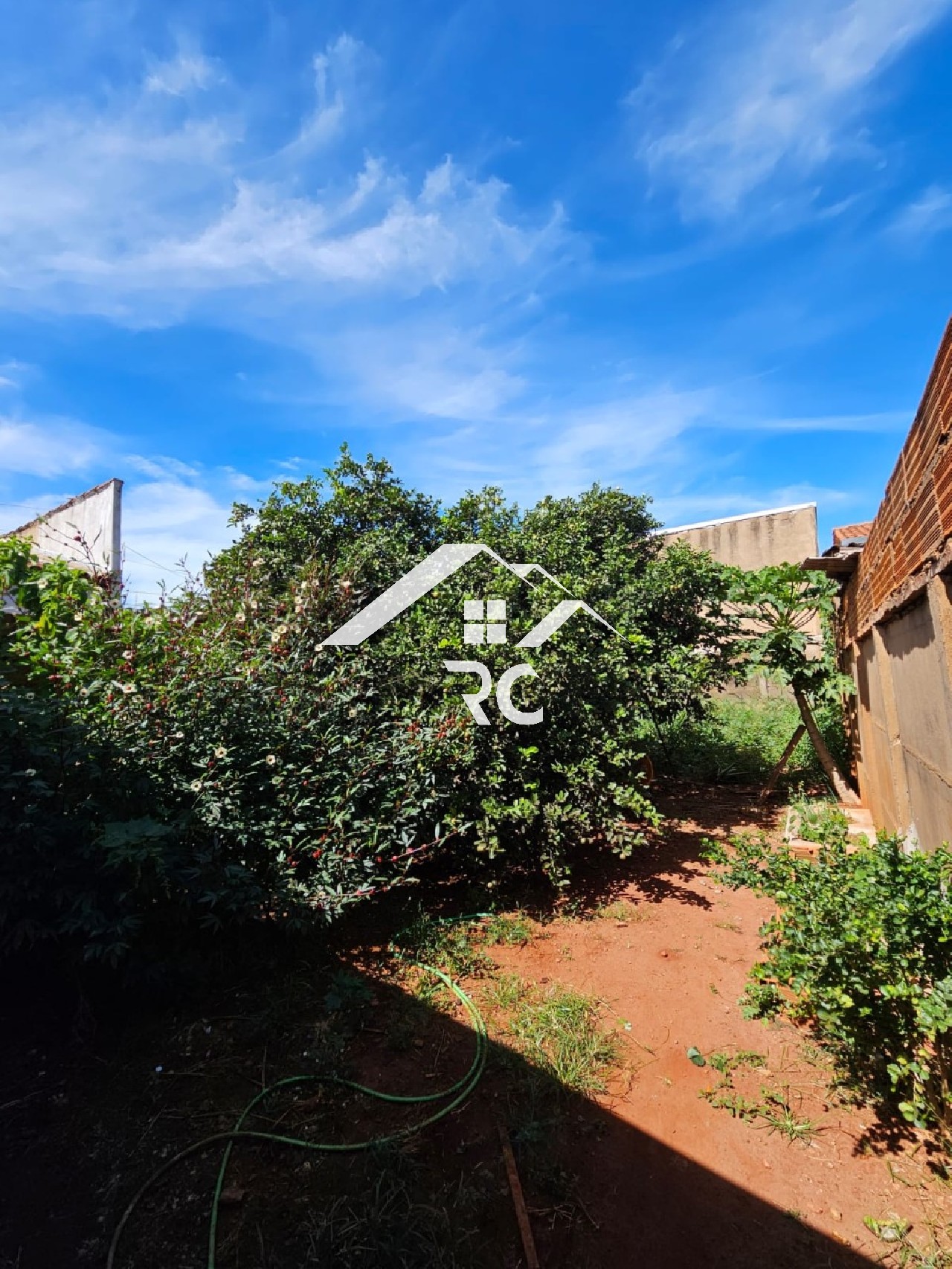 Depósito-Galpão - Foto 3