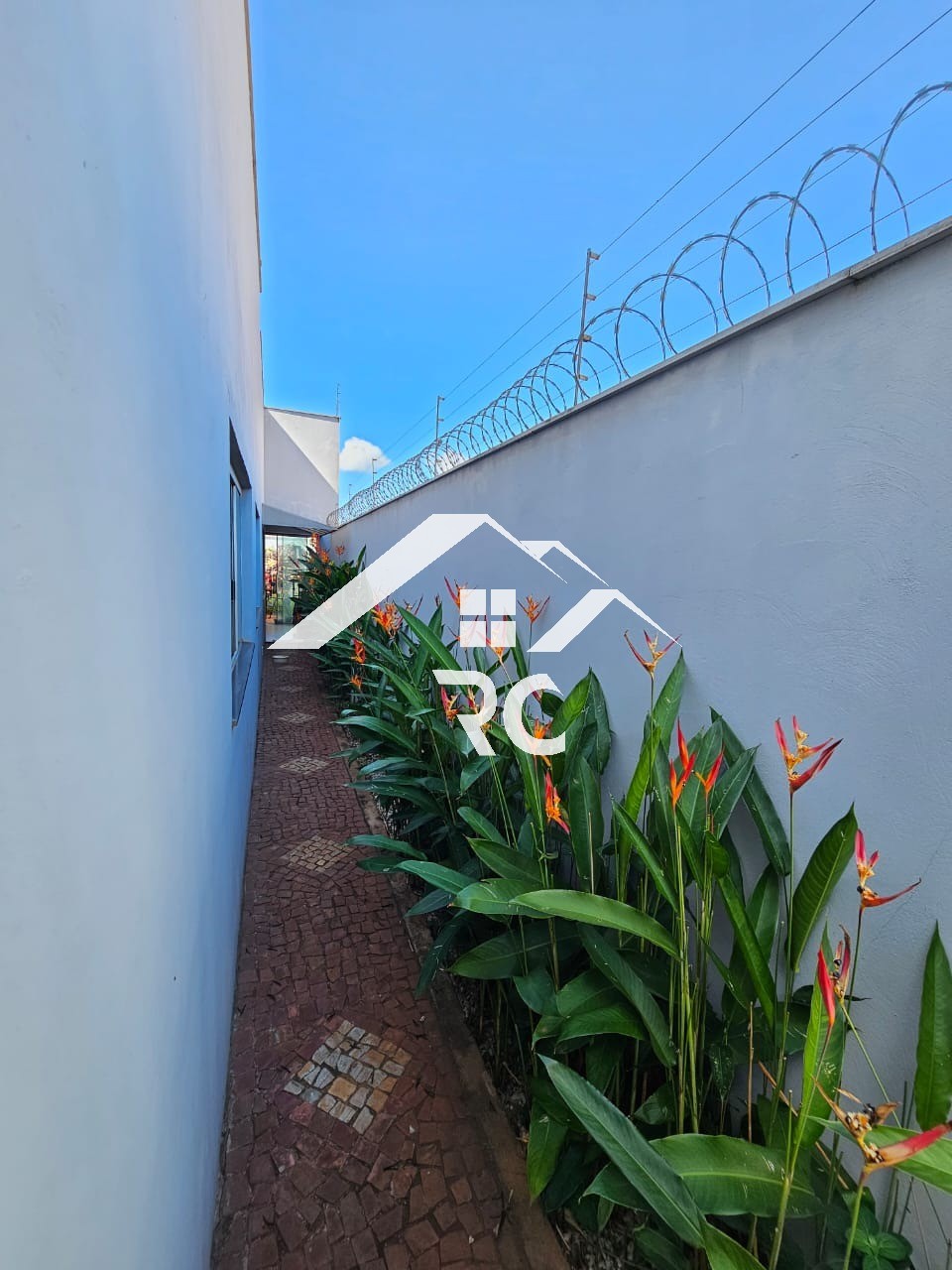 Casa, 3 quartos - Foto 14