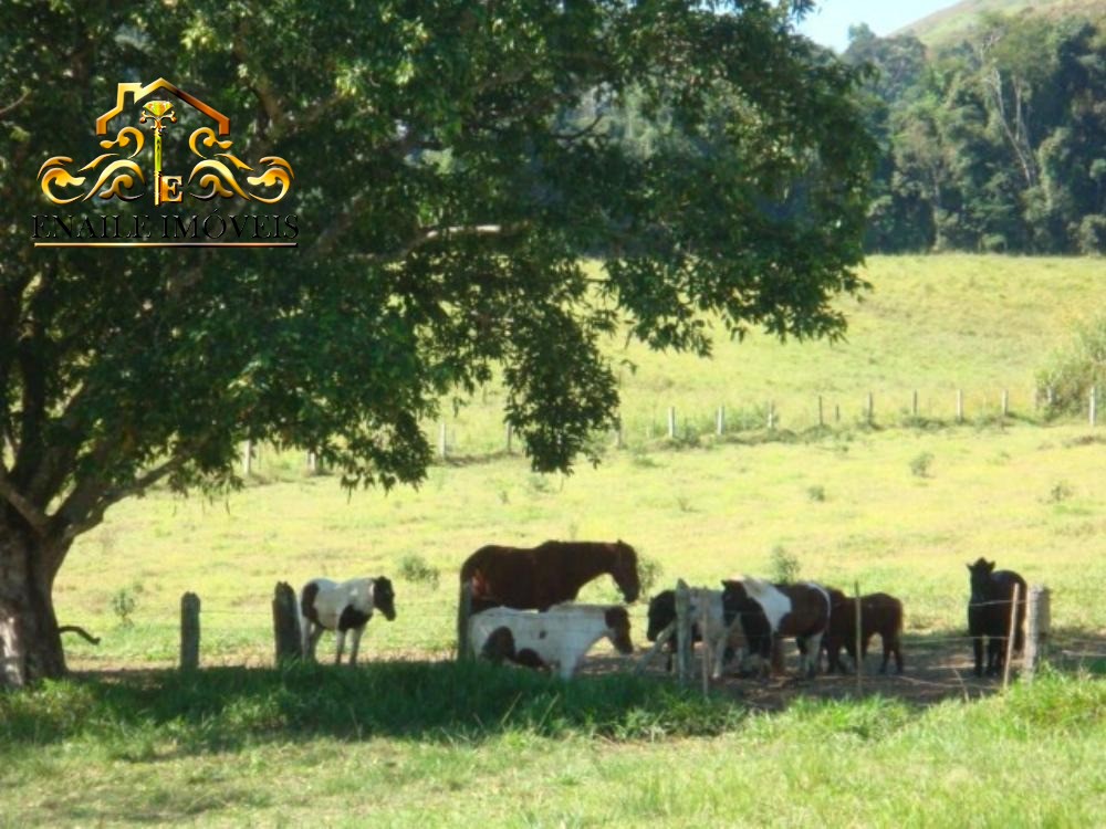 Haras rural em arapeí - sp, centro