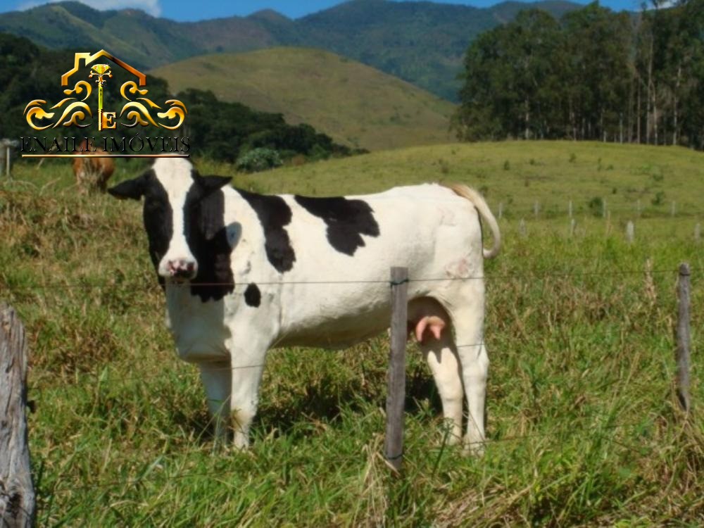 Haras rural em arapeí - sp, centro