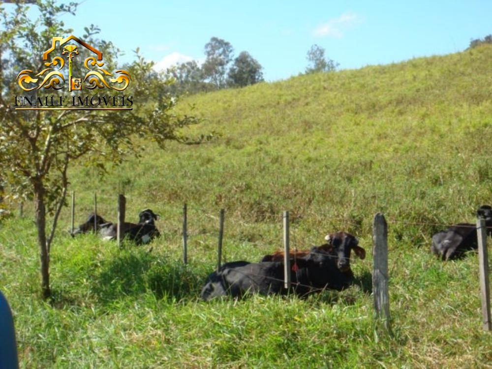 Haras rural em arapeí - sp, centro