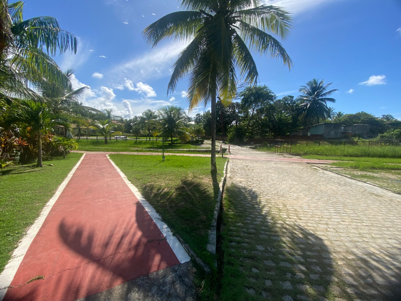 Terreno, 1000 m² - Foto 6