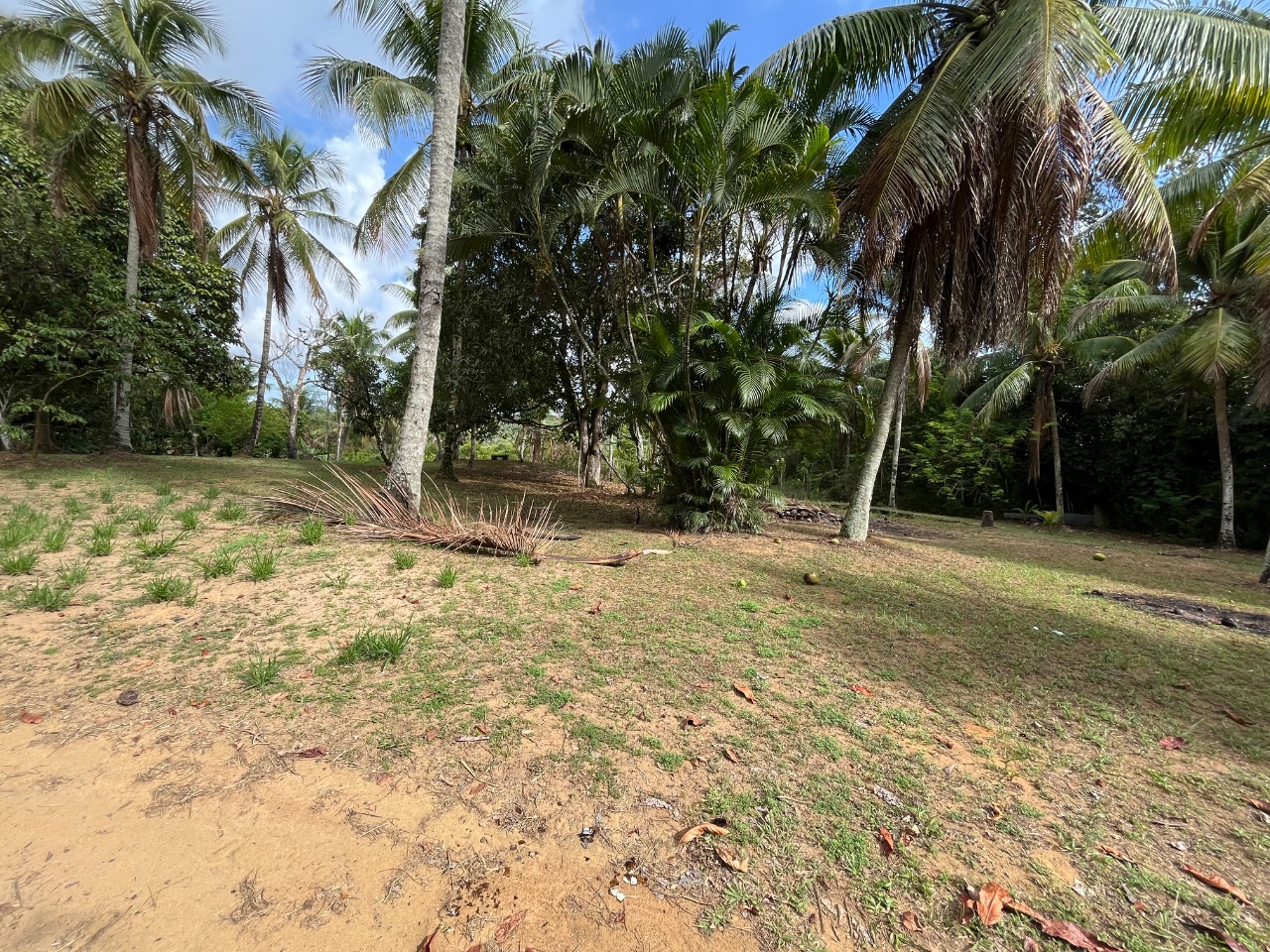 Loteamento e Condomínio, 4 hectares - Foto 7