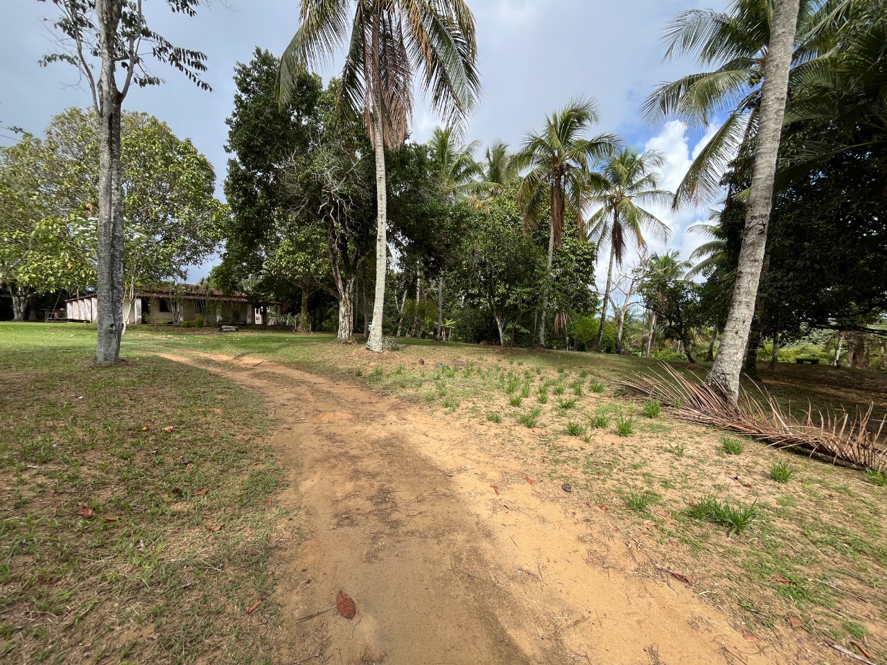 Loteamento e Condomínio, 4 hectares - Foto 6