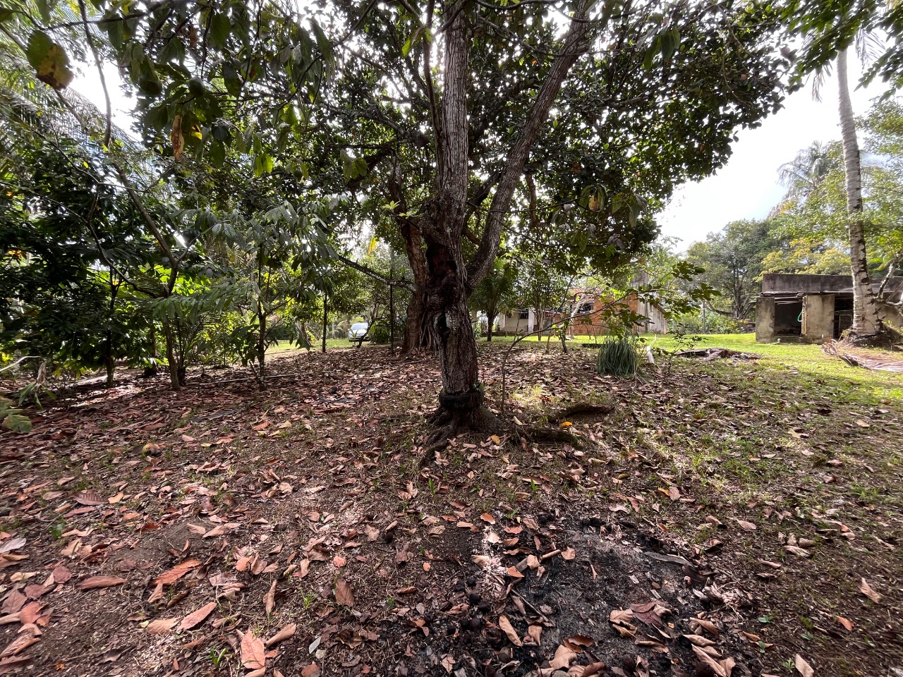 Loteamento e Condomínio, 4 hectares - Foto 3