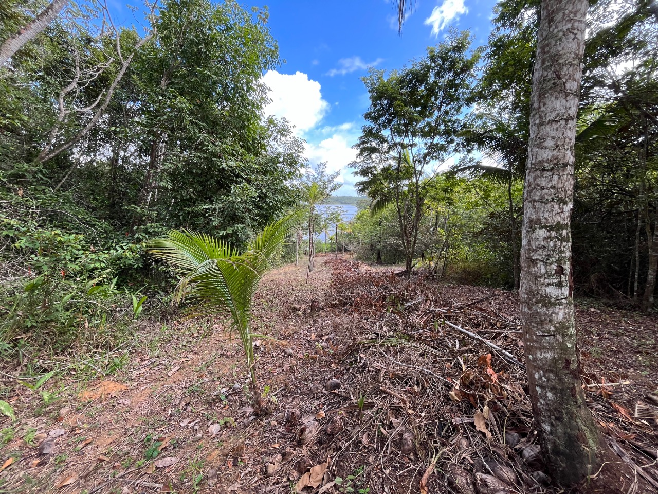 Loteamento e Condomínio, 4 hectares - Foto 2