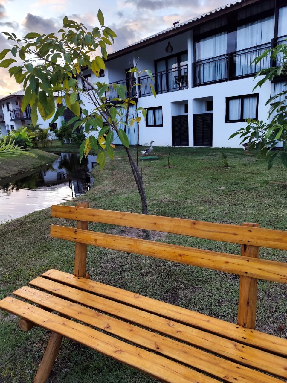 Apartamento, 2 quartos, 56 m² - Foto 3