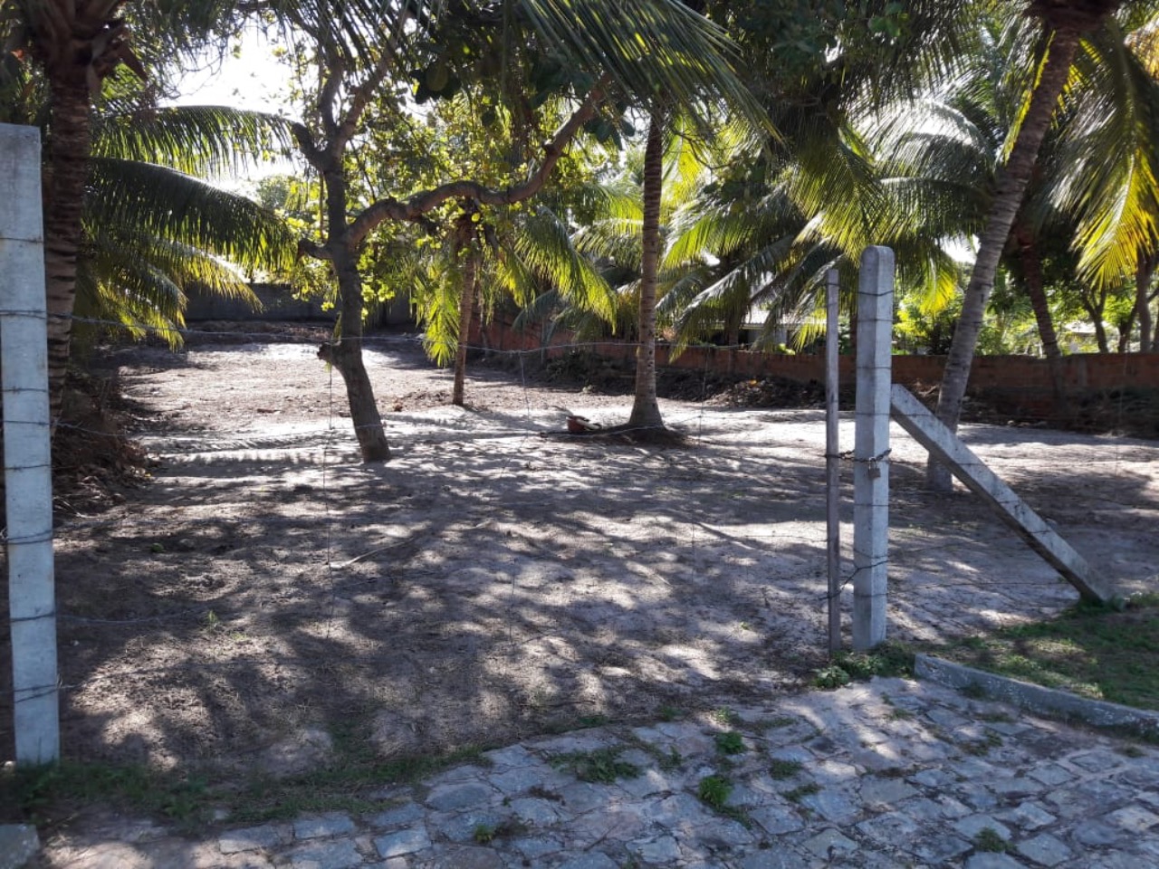 Terreno, 1000 m² - Foto 3