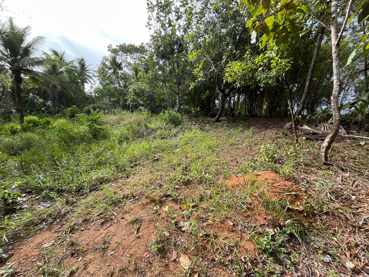 Loteamento e Condomínio, 4 hectares - Foto 1