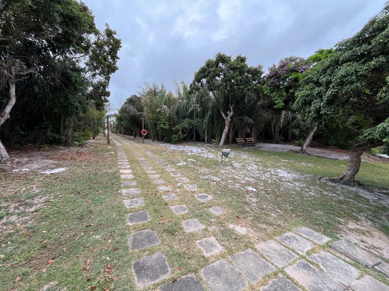 Terreno, 200 m² - Foto 6