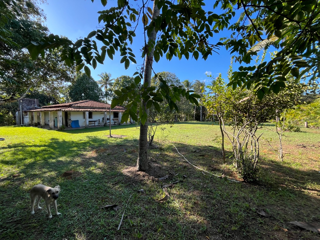 Sítio, 3 quartos, 4 hectares - Foto 1
