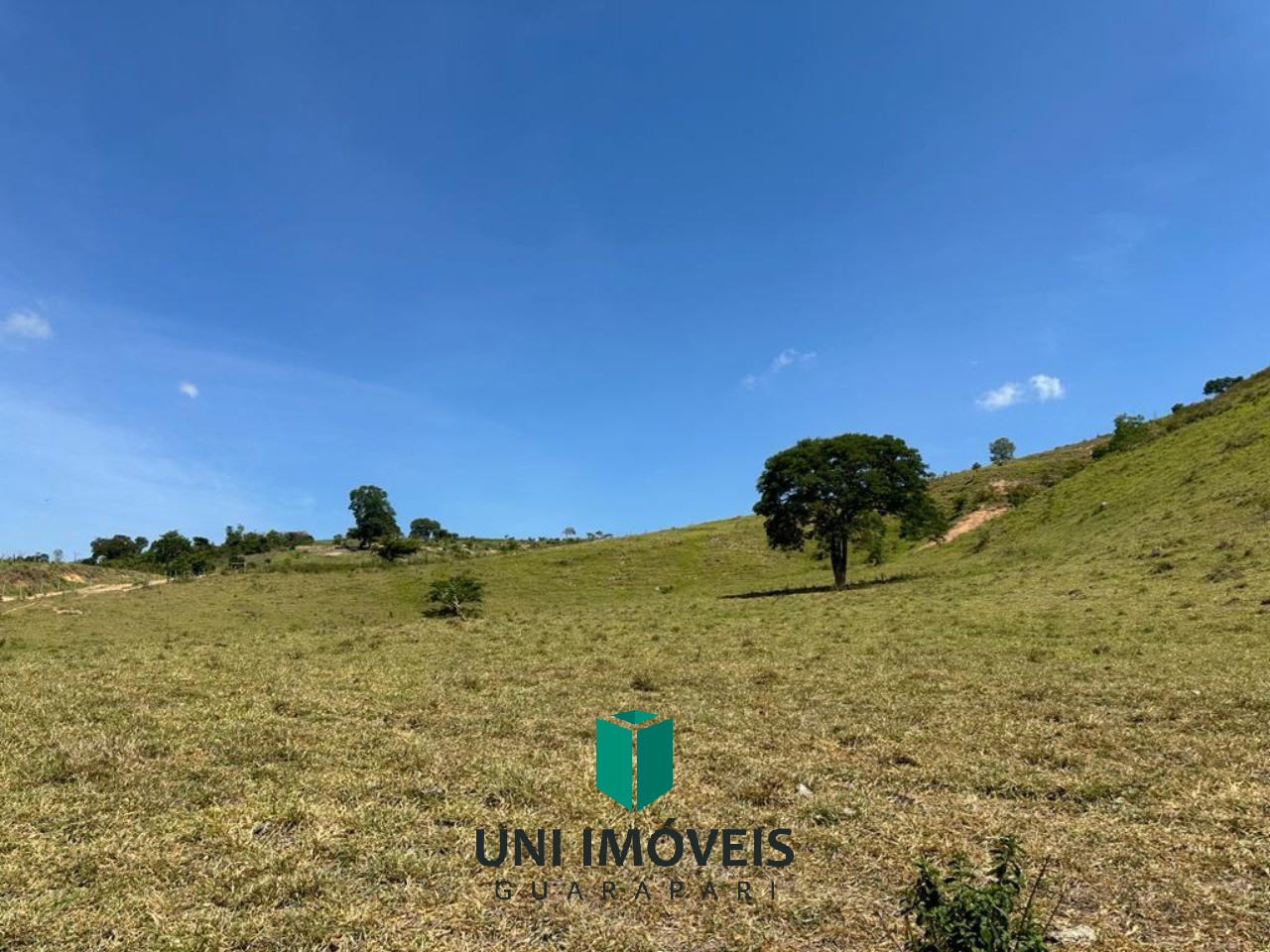 Fazenda de 47 alqueires a venda, um potencial produtivo na zona rural de Resplendor MG.