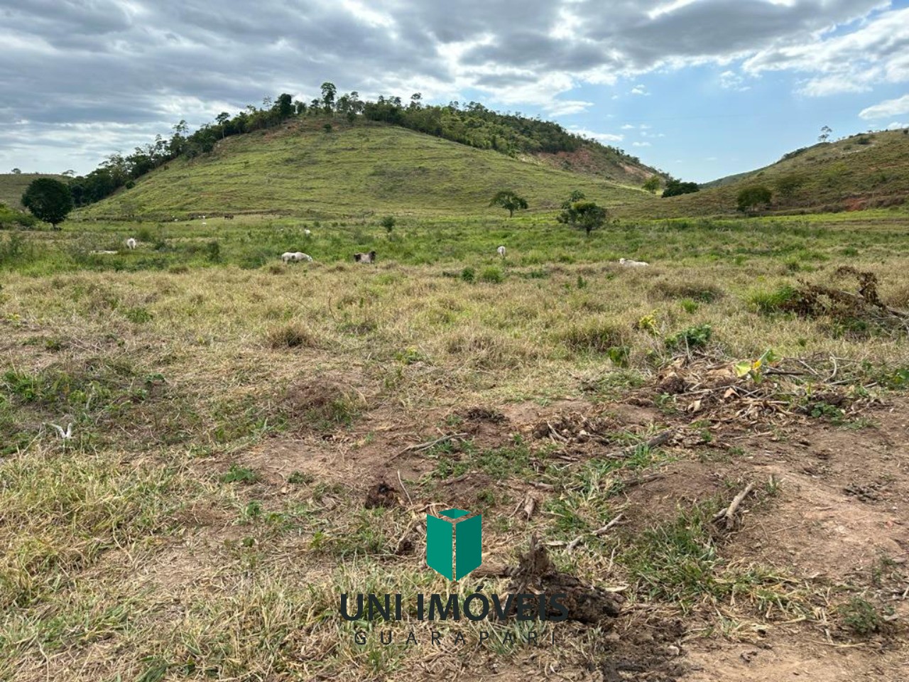 Fazenda de 47 alqueires a venda, um potencial produtivo na zona rural de Resplendor MG.