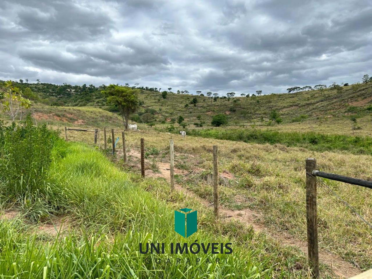 Fazenda de 47 alqueires a venda, um potencial produtivo na zona rural de Resplendor MG.