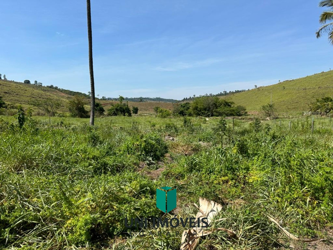 Fazenda de 47 alqueires a venda, um potencial produtivo na zona rural de Resplendor MG.