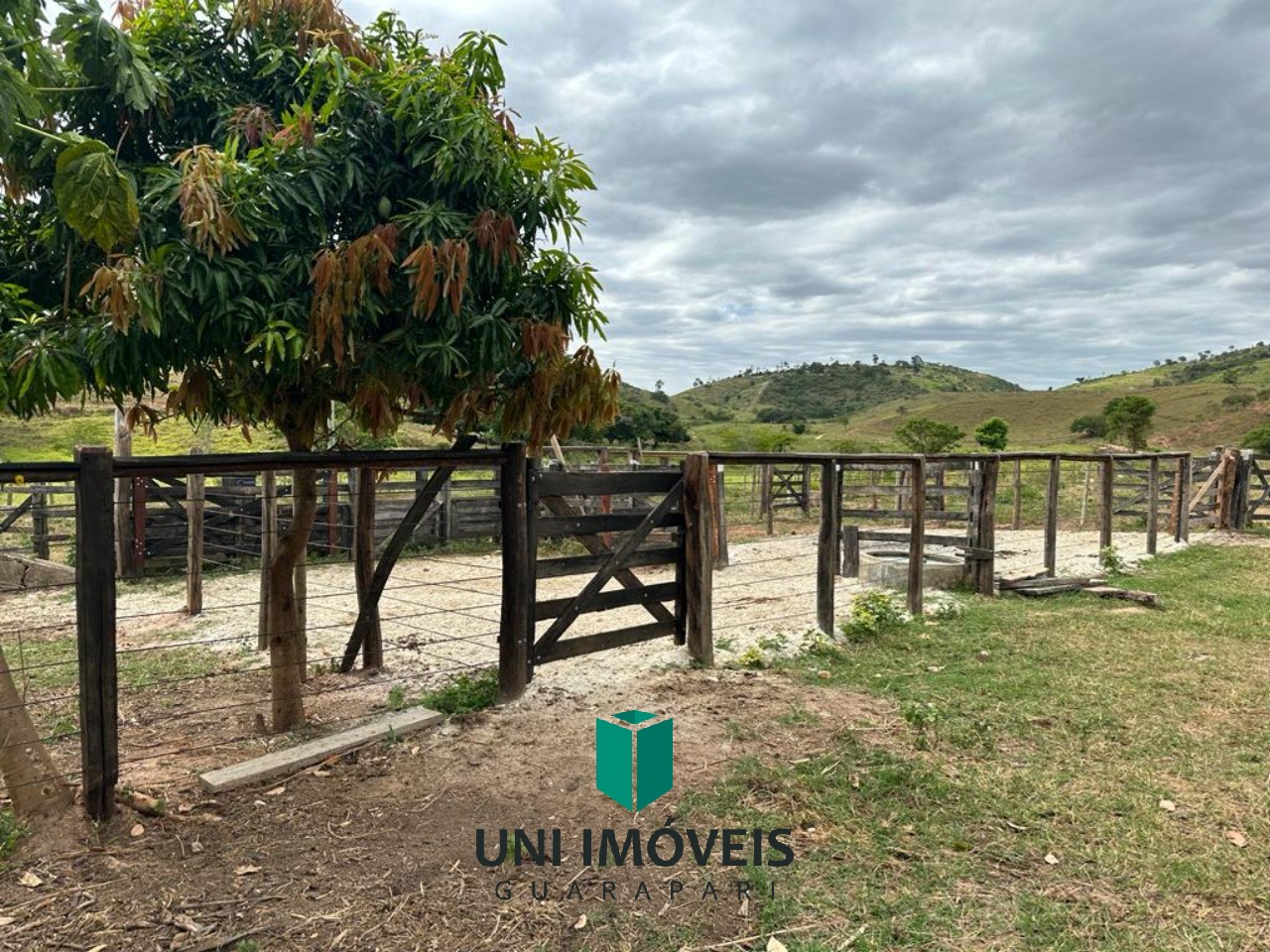 Fazenda de 47 alqueires a venda, um potencial produtivo na zona rural de Resplendor MG.