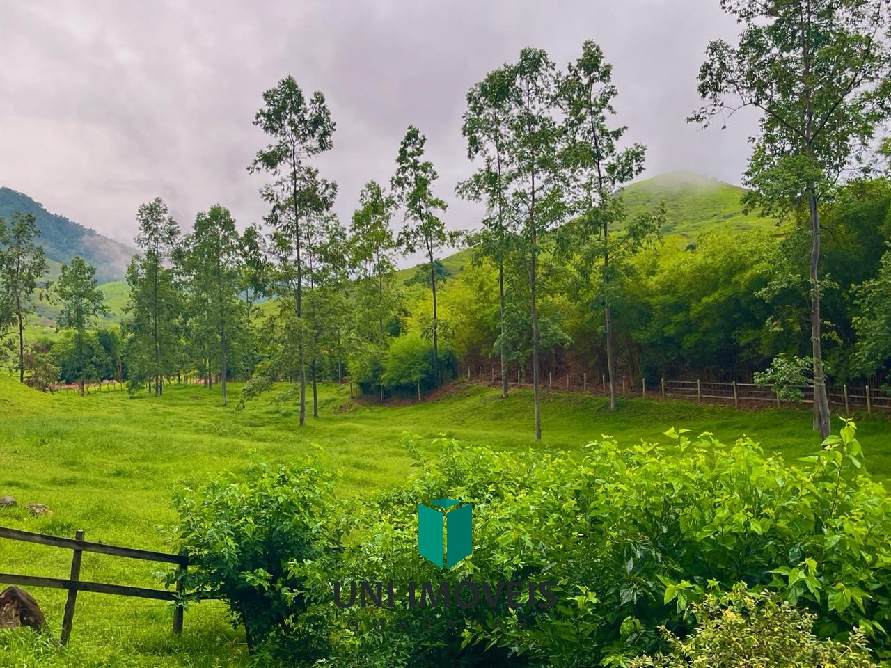 Fazenda, 111 hectares - Foto 40