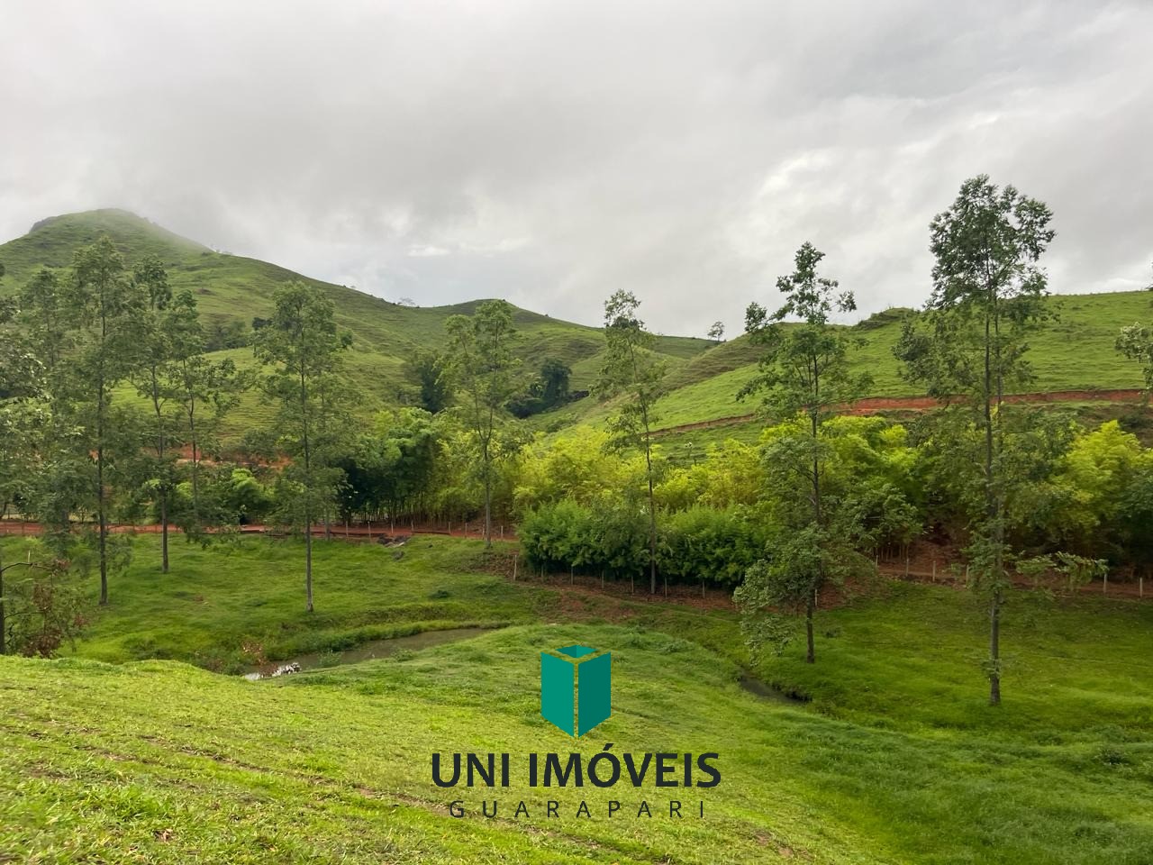 Fazenda, 111 hectares - Foto 46