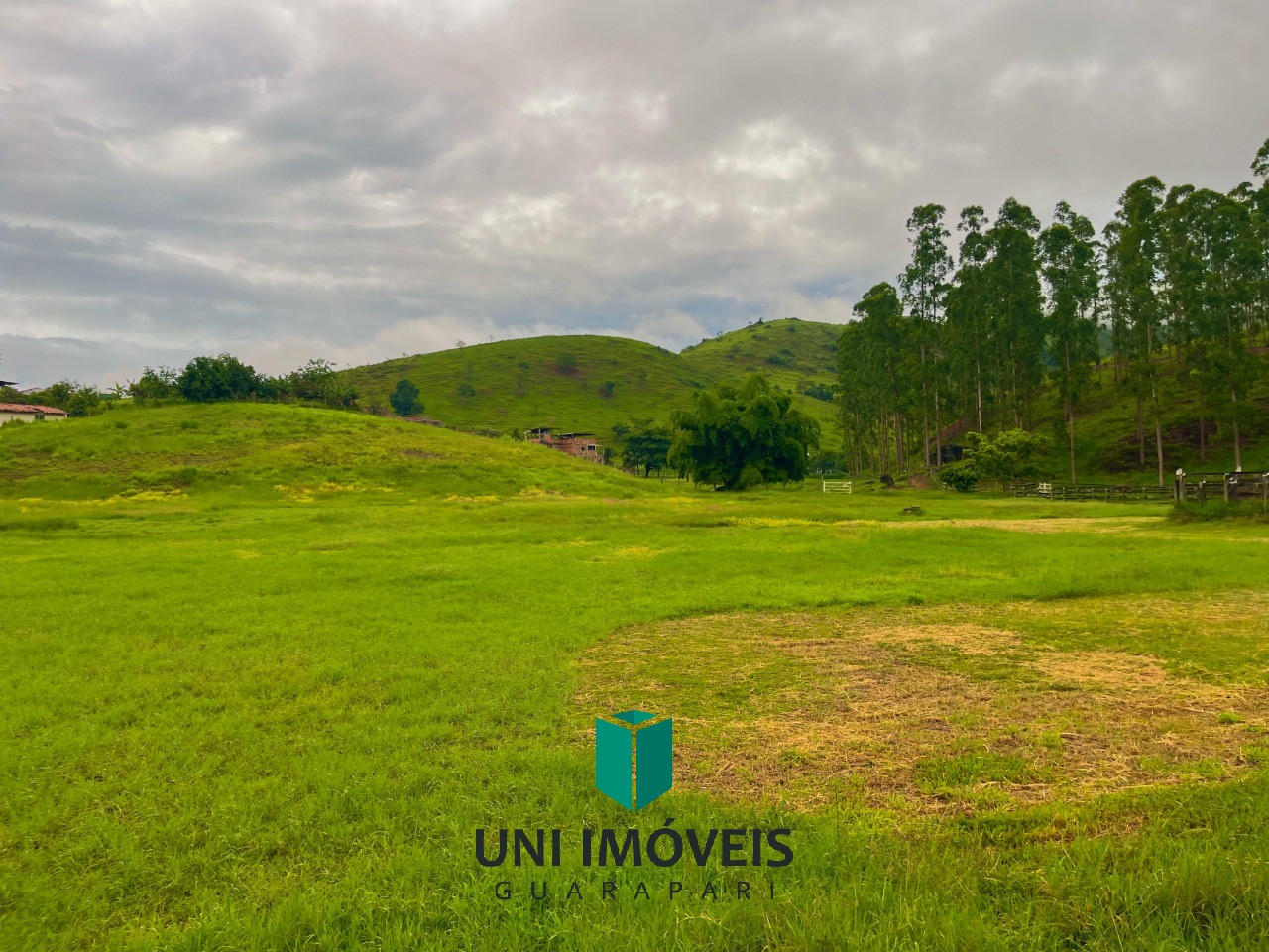 Fazenda, 111 hectares - Foto 11