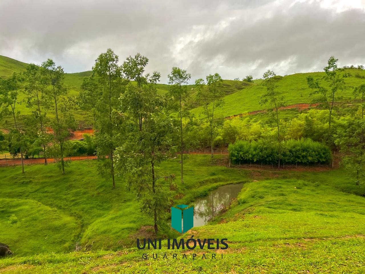 Fazenda, 111 hectares - Foto 44