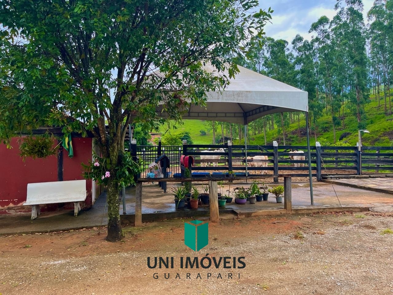 Fazenda, 111 hectares - Foto 19