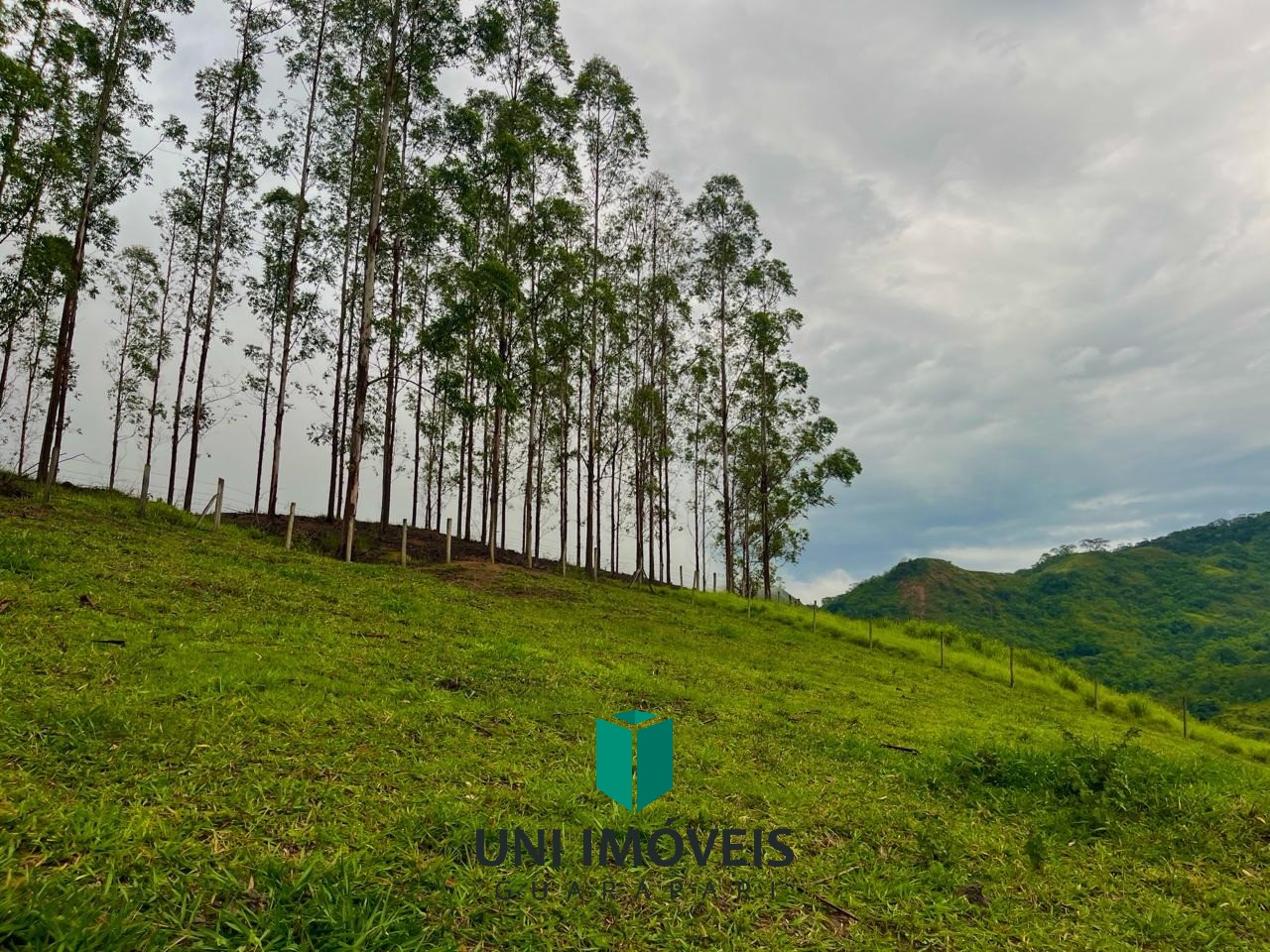 Fazenda, 111 hectares - Foto 48
