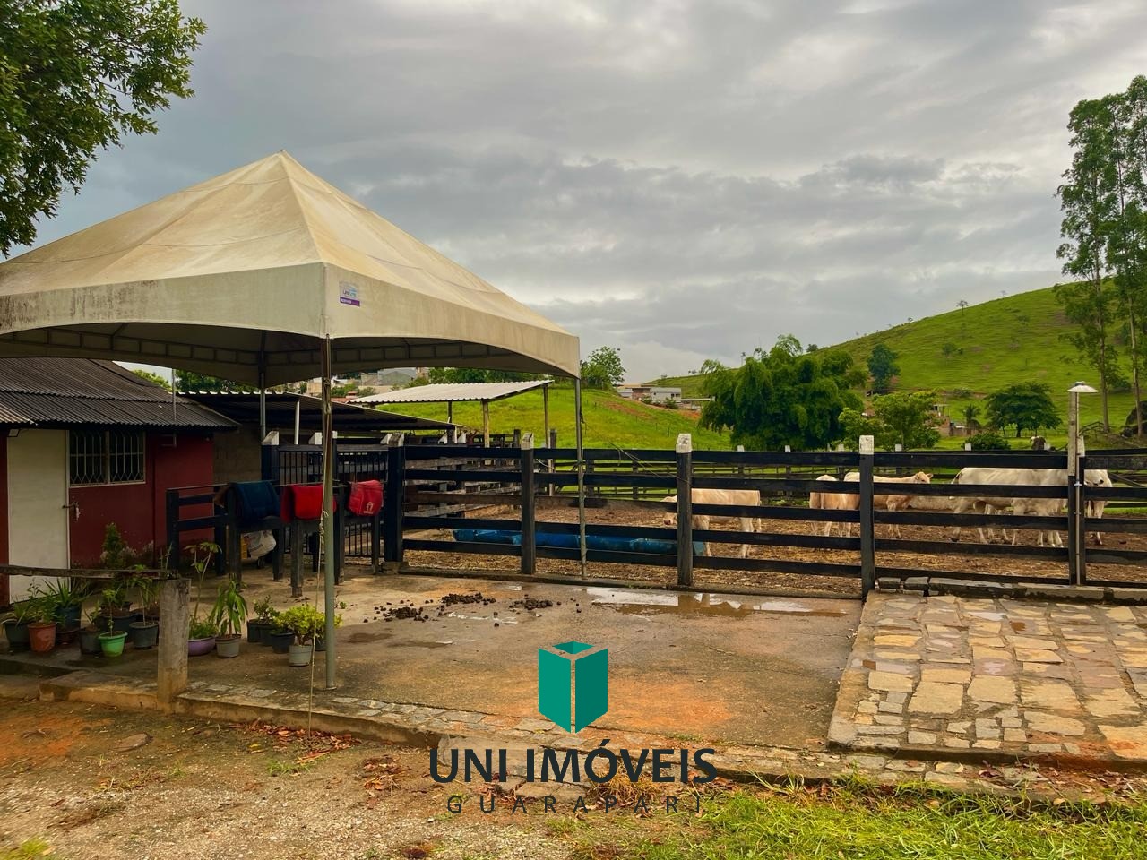 Fazenda, 111 hectares - Foto 22