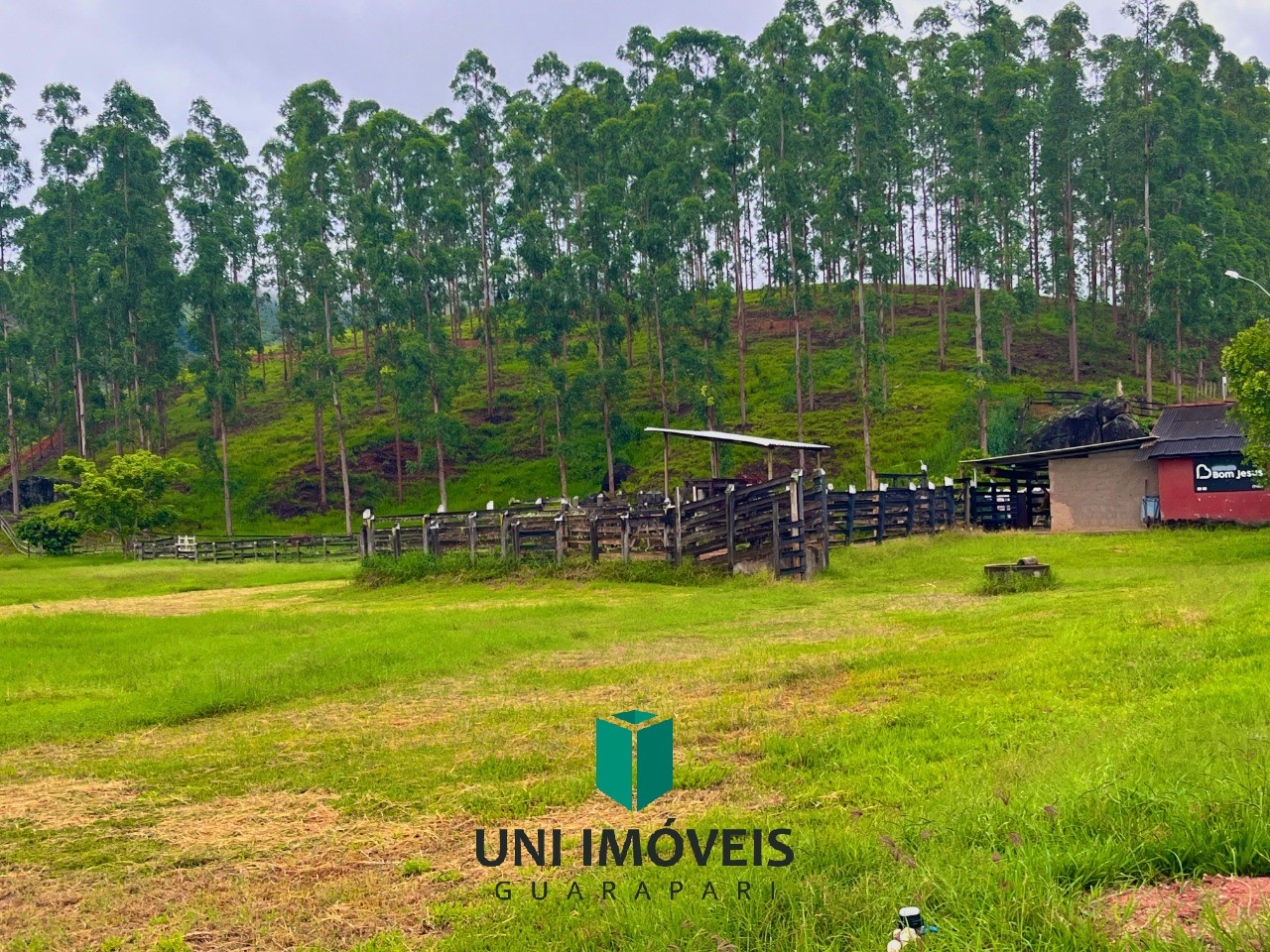 Fazenda, 111 hectares - Foto 1