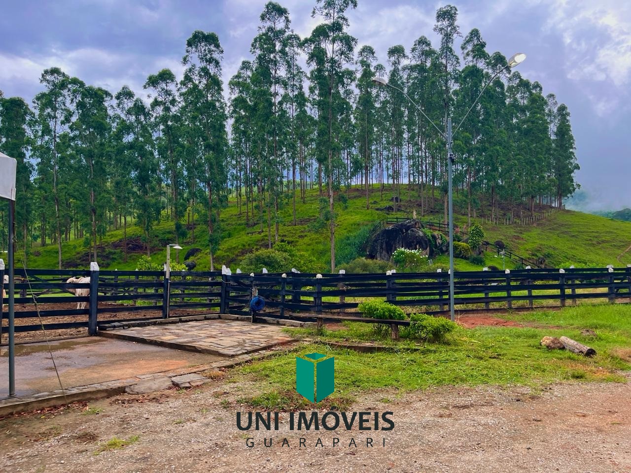 Fazenda, 111 hectares - Foto 20
