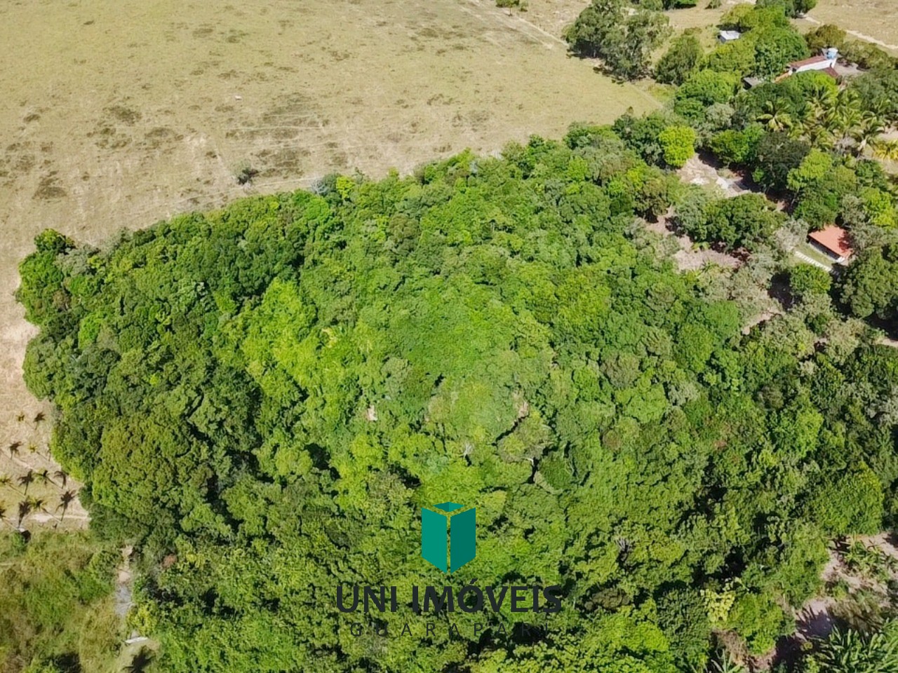 Terreno, 1 hectares - Foto 4
