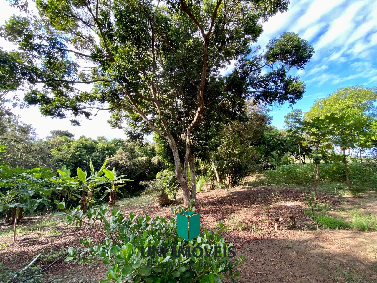 Terreno, 1 hectares - Foto 19