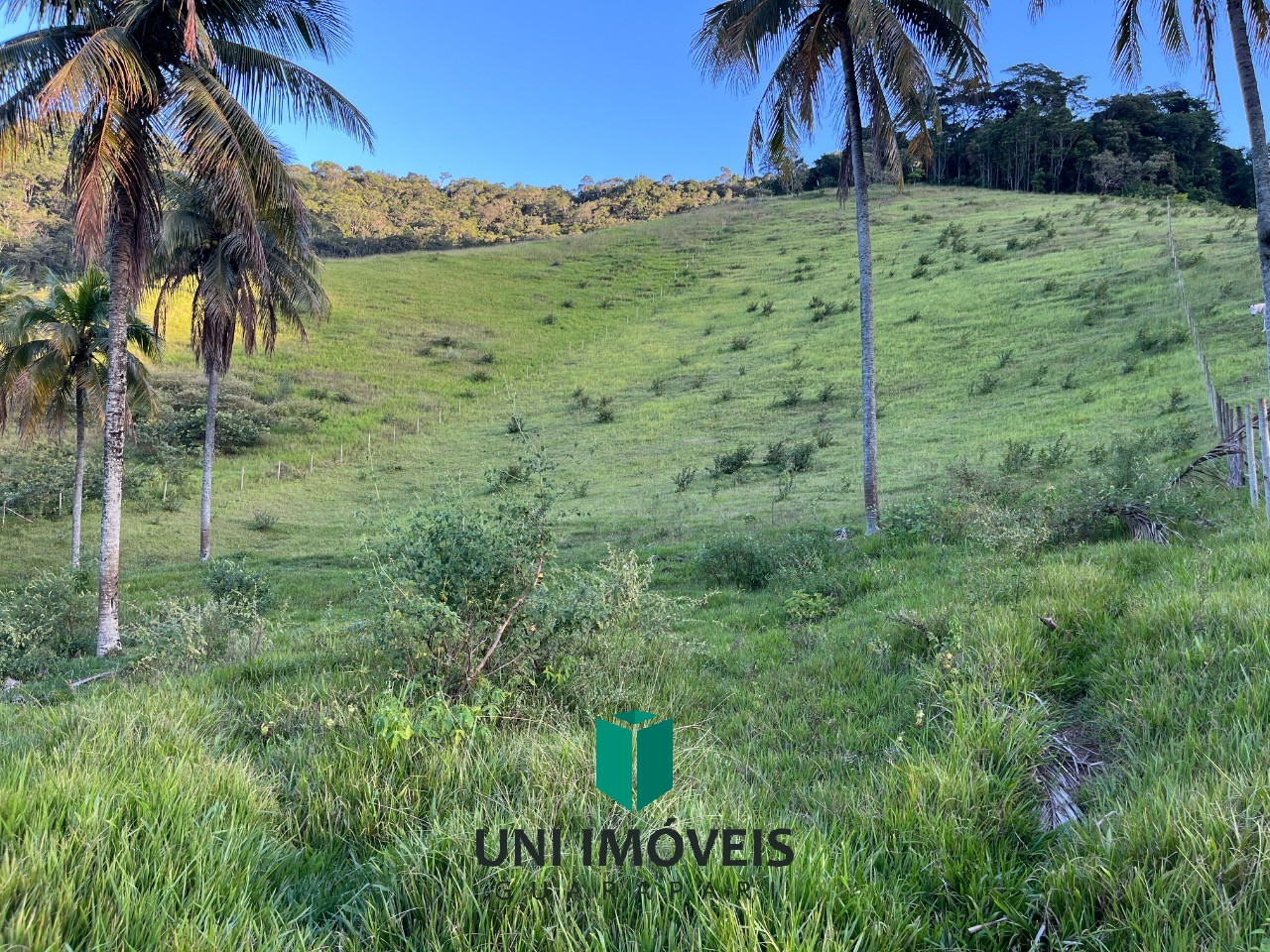 Fazenda, 2 hectares - Foto 1