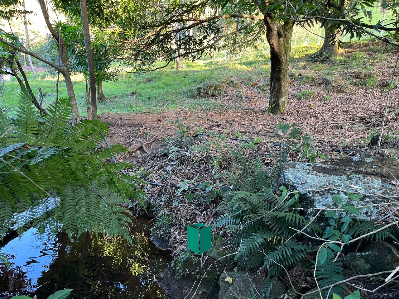 Fazenda, 2 hectares - Foto 21