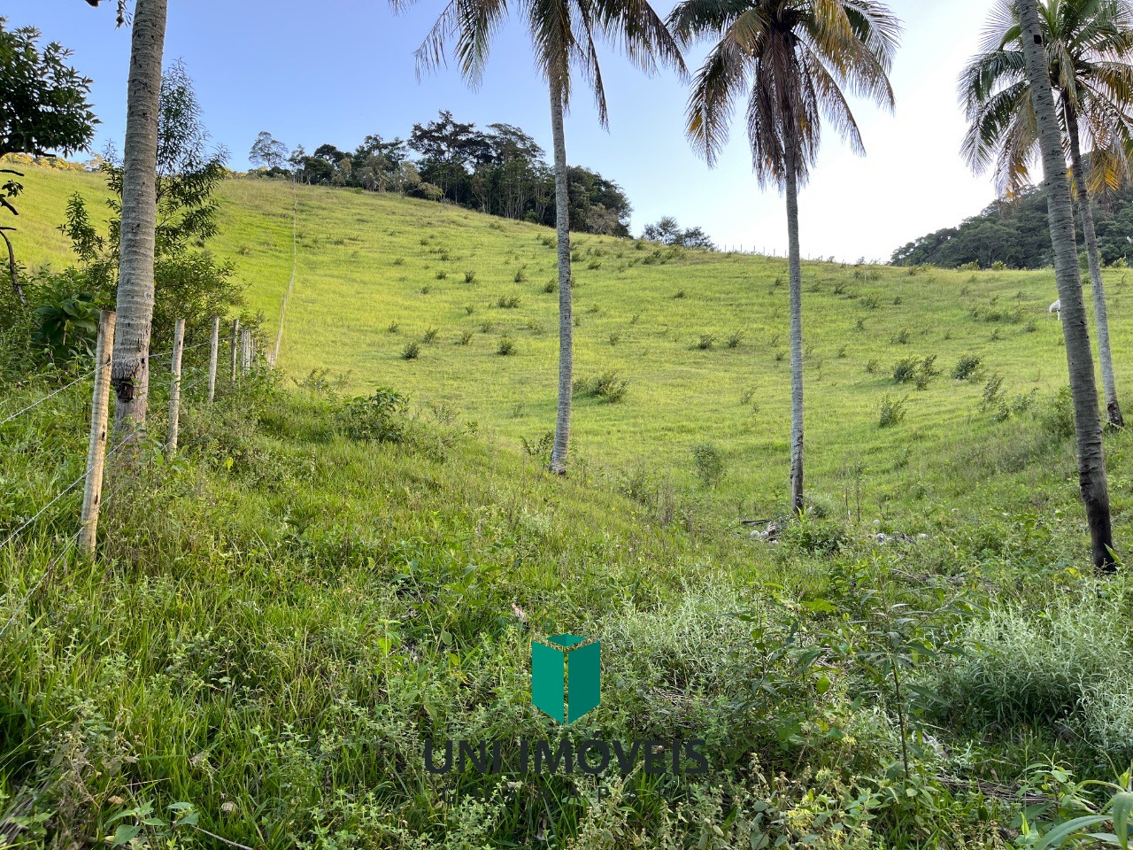 Fazenda, 2 hectares - Foto 4