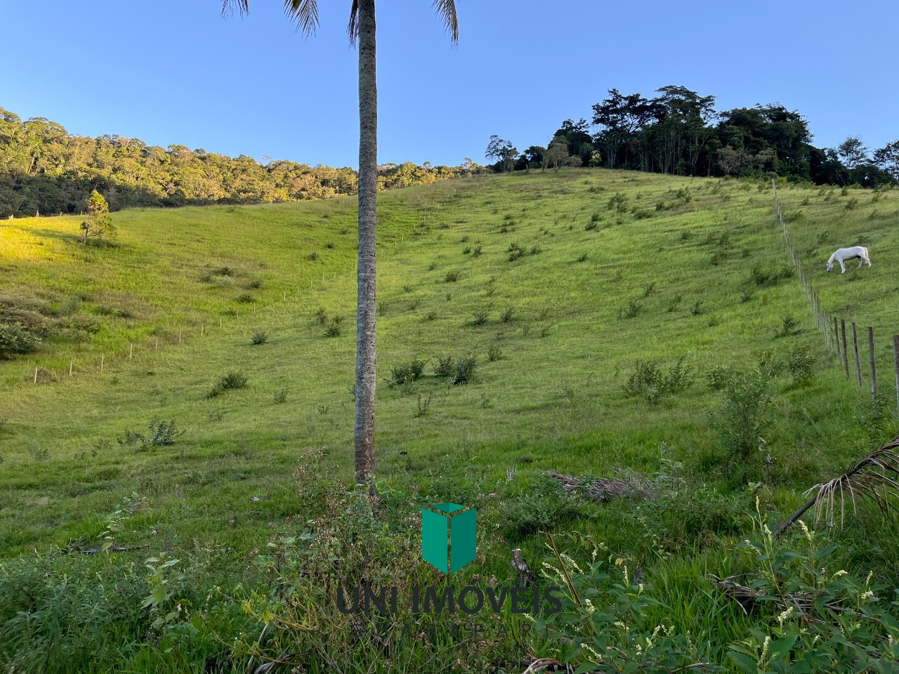 Fazenda, 2 hectares - Foto 3