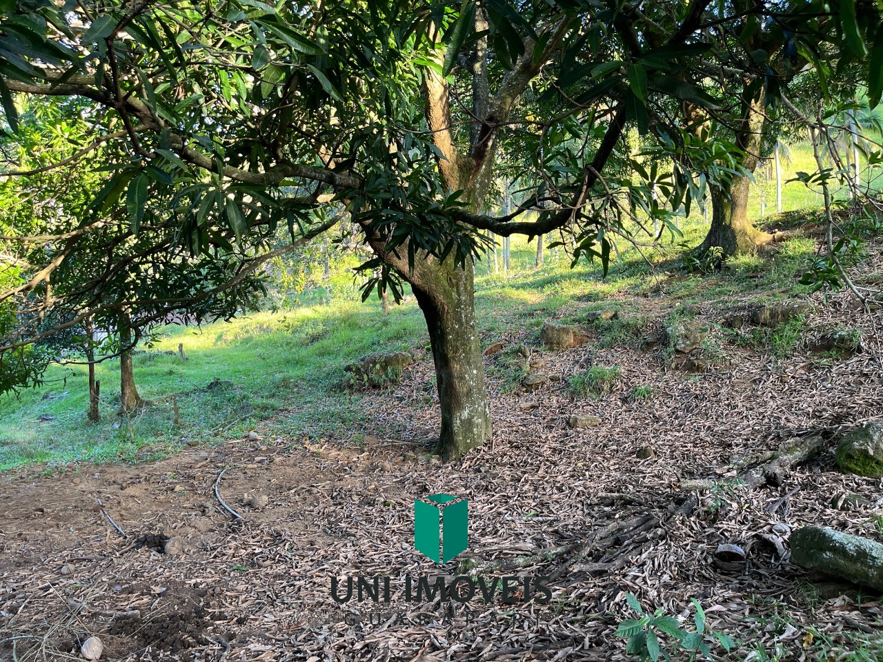 Fazenda, 2 hectares - Foto 14
